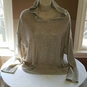 Sparkly Hoodie